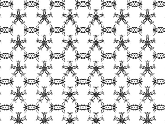 The Fascinating World of Fractal Pattern Star Insect and Its Collection
